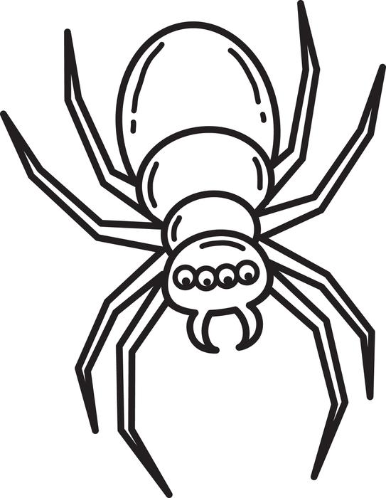 Dibujo para colorear Hombre araña  Supercoloredcom