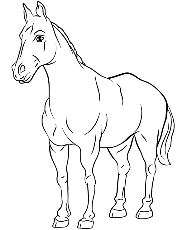 Dibujos para colorear e imprimir Caballos