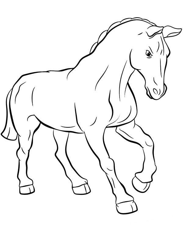 Dibujos para colorear e imprimir Caballos