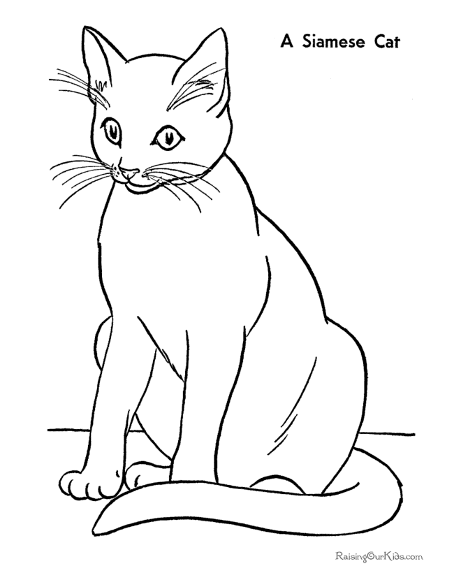 Dibujos para colorear e imprimir Gatos