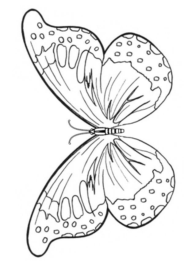 Dibujos para colorear e imprimir Mariposas