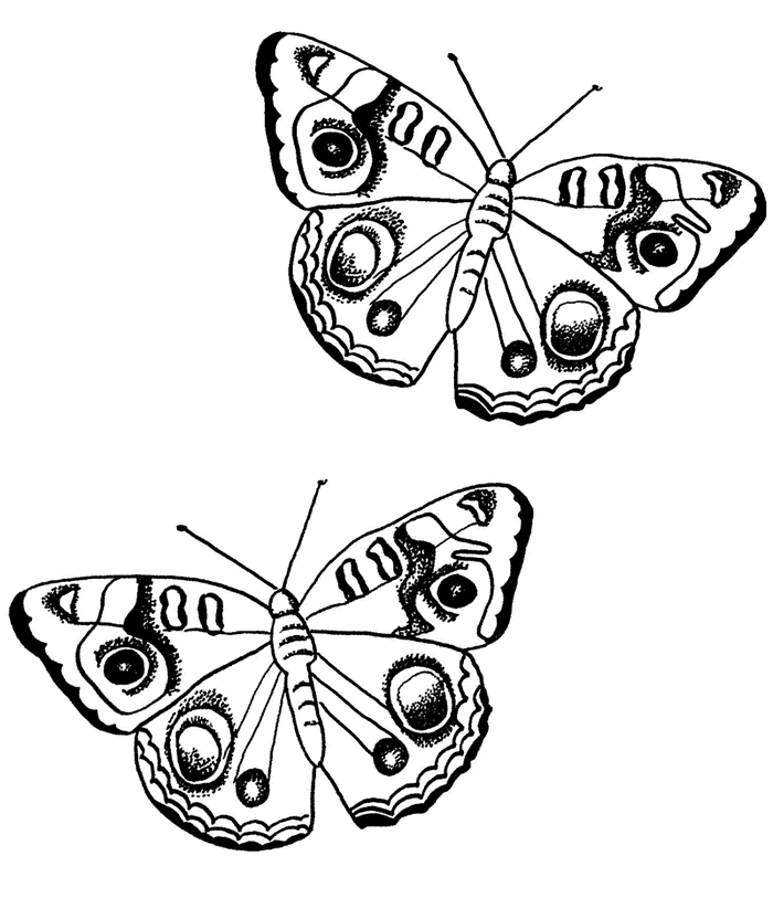 Dibujos para colorear e imprimir Mariposas