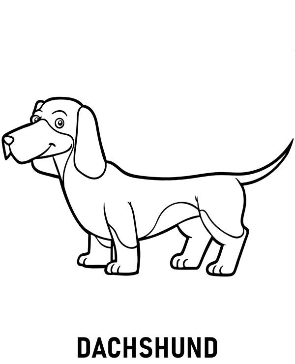 Dibujos para colorear e imprimir Perros