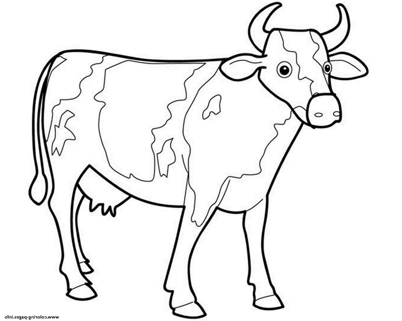 Dibujos para colorear e imprimir Vacas