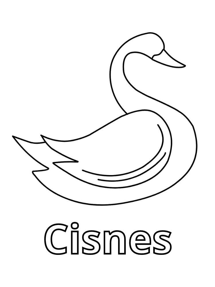 Dibujos para colorear e imprimir Cisnes