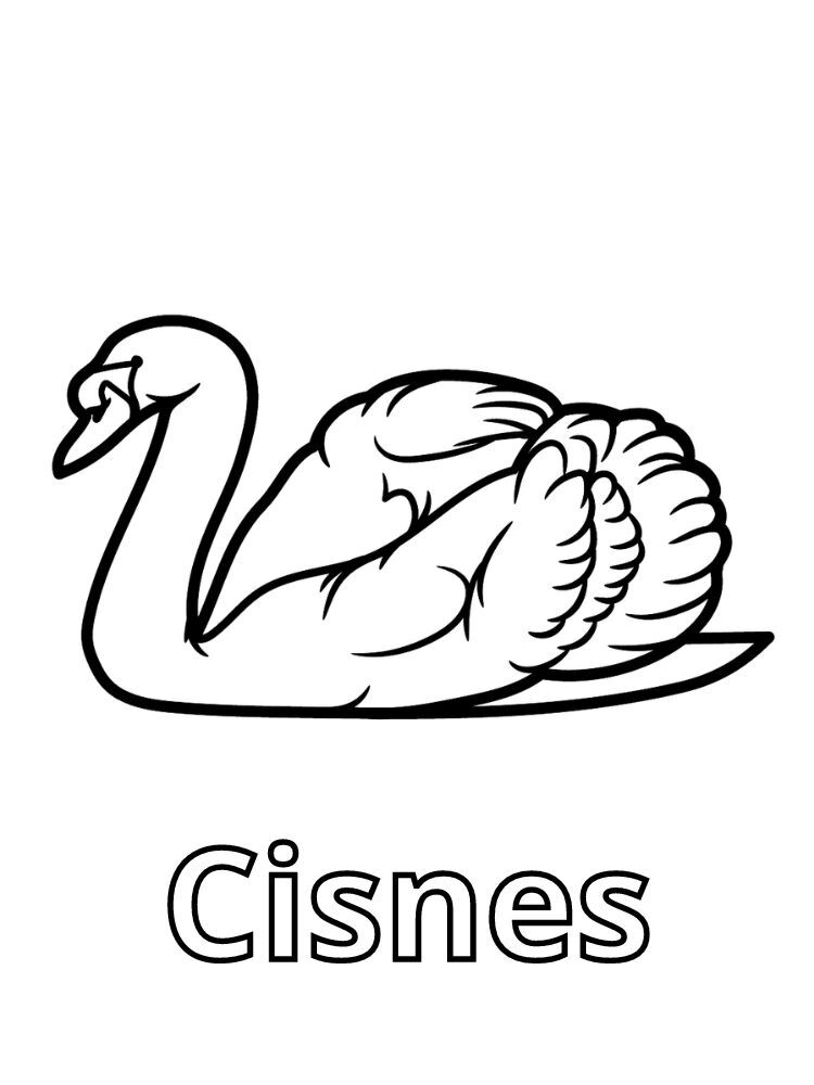 Dibujos para colorear e imprimir Cisnes