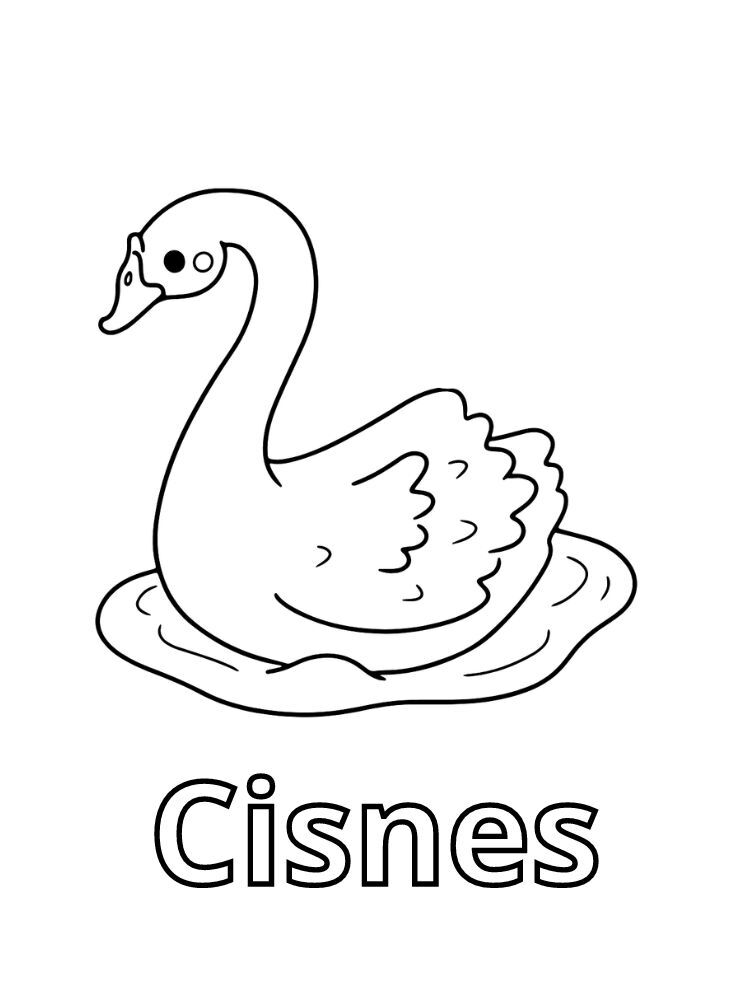 Dibujos para colorear e imprimir Cisnes